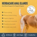 Herbal Dog Co Anal Gland Blend for Dogs & Puppies, 250ml - Dog Gland & Dog Digestive Supplements - All-Natural, Vegan, Made in UK - Image 3