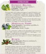 Helan, The Remedies, Ginkgo Biloba, Bilberry And Butcher's Broom Ointment, Relieves Circulatory Discomfort, 75 ml - Image 4