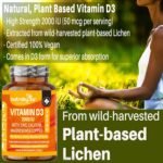 Nutrabytes Vitamin D3 2000iu, 180 Capsules | High Strength Supplement with Zinc, Calcium, Magnesium & Copper | Vegan Vitamins & Minerals to Support Bones, Muscles, Teeth, Energy & Immunity | 3 Months - Image 4