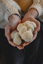 Mushrooms Memory + Focus, All in one adaptogen Blend for Focus, Energy and Calm - Image 4