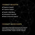 Lion’s Mane Mushroom Capsules | 20:1 High Strength Extract | 10,000mg Equivalent | Cognitive, Immune & Digestive Support | 60 HPMC Vegan Friendly Capsules | Non-GMO, Gluten-Free | Made in The UK - Image 4