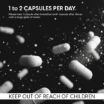 Lion’s Mane Mushroom Capsules | 20:1 High Strength Extract | 10,000mg Equivalent | Cognitive, Immune & Digestive Support | 60 HPMC Vegan Friendly Capsules | Non-GMO, Gluten-Free | Made in The UK - Image 6