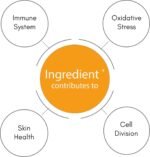 Premium - Vitamin C + Zinc | 60 Vegan Capsules | Boost Immunity and Wellness | Free from Dairy, Gelatine, Gluten, Nut/Peanut | UK Manufactured | Advanced Formula of Ascorbic Acid & Zinc - Image 3