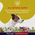 Phytopet Balance, All Natural Hormone Balance and Stability for Dogs and Cats, Easy to Use Herbal Supplements, 100ml - 100% Herbal Phytopet Pet Supplies - Image 4