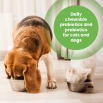 Protexin Pet Health Pro-Balance Probiotic for Dogs and Cats – Daily Chewable Probiotic and Prebiotic Tablet for Digestive Health Support – Pack of 30 - Image 3