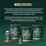 Lions Mane Supplement 4000mg with Reishi Mushroom | Lions Mane Capsules High Strength | 120 Powder Capsules | Vegan | Wiseshrooms - Image 7