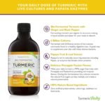 Turmeric Curcumin with BioCultures & Enzymes - Fermented High Strength Liquid Turmeric Supplement with Black Pepper & Ginger Equivalent to 2 Turmeric Capsules - Pineapple Passionfruit - Image 3