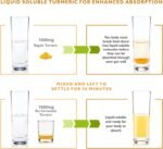 Turmeric Curcumin with BioCultures & Enzymes - Fermented High Strength Liquid Turmeric Supplement with Black Pepper & Ginger Equivalent to 2 Turmeric Capsules - Pineapple Passionfruit - Image 6