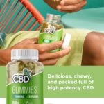 CBDfx 1500mg High Strength Turmeric Spirulina CBD Gummies 25mg Turmeric 10mg Spirulina 25mg CBD per Gummy 60x Bottle (30 Days) - Image 3