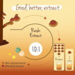 Vegavero Reishi Mushroom Extract | 13,000 mg (10:1) Ganoderma Lucidum | 120 Capsules | 40% Polysaccharides & 20% Beta Glucans | NO Additives | Vegan - Image 4