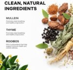 Betterbrand Mullein Tea Bags for Lungs – Herbal Tea for Respiratory Support – Caffeine-Free Loose Leaf Blend with Mullein Leaf Extract – 15 Bags for Lung Health and Wellness - Image 7