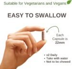 KEPTALIT Natural Liver and Kidney Support Stone Breaker Extract Kidney Cleanse Herbal Supplement Source of Polyphenols - 60 Vegan Capsules - 1 Month Supply - Image 3