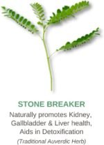 KEPTALIT Natural Liver and Kidney Support Stone Breaker Extract Kidney Cleanse Herbal Supplement Source of Polyphenols - 60 Vegan Capsules - 1 Month Supply - Image 4