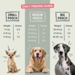 Calming & Anxiety Soft Chew Dog Supplements - Daily Relief from Stress, Anxiety & Nervousness with Chamomile, Green Tea, L-Tryptophan with Omega 3 EPA & DHA – 120 Soft Chews - Image 4