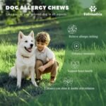 Itch Immunity Treats For Dogs, Itchy Dog Skin Relief Chews For Paw Licking Itchy Skin Coat Supplement, Itch Remedies Probiotic Immune Supplement for Dogs with Omega-3 Astragalus-30ct - Image 3