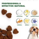 Itch Immunity Treats For Dogs, Itchy Dog Skin Relief Chews For Paw Licking Itchy Skin Coat Supplement, Itch Remedies Probiotic Immune Supplement for Dogs with Omega-3 Astragalus-30ct - Image 4