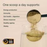 Greens Powder by Nuzest – Good Green Vitality – Filled with Vitamins, Minerals & Superfoods – Vegan Multivitamin Greens Drink - Gluten Free - Dairy Free - 10g - 1 Serving - Image 4