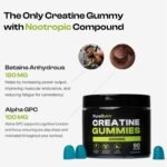 Creatine Gummies MAX, 5780mg, Zero Sugar with Added Alpha GPC for Focus, L-Taurine and Betaine Anhydrous, Blue Raspberry Flavour, One Month Supply, 90 Gummies for Pump, Mass, Endurance and Energy. - Image 6