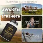 Ancestral Supplements Mofo, Supplements for Men Support Testosterone Levels and Overall Men's Health and Wellness, Non-GMO Grass Fed Beef Organ Supplement with Liver, No Fillers, 180 Capsules - Image 3