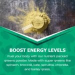 SCI-MX - Ultra Greens Power Blend • Suitable for Vegans & Vegetarians • Support Digestion • Energy • Bloating • Apple, Spinach, Broccoli, Spirulina, Barley Grass, Kale + More • 300g - Image 6