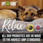 Probiotics for Dogs – Supports Normal Digestive Function & Gut Balance – 120 Tablets | All Breeds & Ages - Image 10