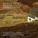 APE Nutrition Collagen Powder Peptides 400g 100% Grass-Fed & Finished Bovine Collagen Type 1 & 3 Ancestral Supplement Unflavoured Improves Hair Skin & Nail Health - Image 4