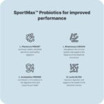 Vilgain Performance Multivitamin - 13 Vitamins, 10 Minerals, Spectra™ antioxidants, probiotics, Vegan, high Absorption, for Active Athletes & Regeneration, Supports Energy, 90 Capsules - Image 5