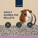 Marriage’s - Adult Guinea Pig Pellets for a Healthy Weight and Immune System, Guinea Pig Food with Sunflower Seed, High Fibre, 100% Nutri Pressed, Suitable for All Adult Guinea Pigs (2kg) - Image 3