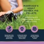 Marriage’s - Adult Guinea Pig Pellets for a Healthy Weight and Immune System, Guinea Pig Food with Sunflower Seed, High Fibre, 100% Nutri Pressed, Suitable for All Adult Guinea Pigs (2kg) - Image 4