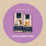 Marriage’s - Adult Guinea Pig Pellets for a Healthy Weight and Immune System, Guinea Pig Food with Sunflower Seed, High Fibre, 100% Nutri Pressed, Suitable for All Adult Guinea Pigs (2kg) - Image 5