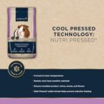 Marriage’s - Adult Guinea Pig Pellets for a Healthy Weight and Immune System, Guinea Pig Food with Sunflower Seed, High Fibre, 100% Nutri Pressed, Suitable for All Adult Guinea Pigs (2kg) - Image 6