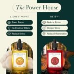 Premium Lion's Mane & Reishi Mushroom Drops – The Day & Night Power House | 100ML Triple Ultrasonic Extract | Focus & Memory & Stress Relief & Recovery Liquid Formula | Gluten & Sugar Free - Image 3