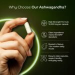 Ashwagandha 12500mg per Capsule, That Calms Your Mind. Focuses Your Energy - Image 5