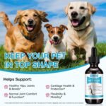 Joint Supplement for Dogs - Liquid Drops for Senior Dogs with Glucosamine, Natural & Organic Pain Relief for Dogs, Supports Hip & Joint Care, Reduces Inflammation & Stiffness | Beef Flavour (60ml) - Image 3