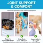 Joint Supplement for Dogs - Liquid Drops for Senior Dogs with Glucosamine, Natural & Organic Pain Relief for Dogs, Supports Hip & Joint Care, Reduces Inflammation & Stiffness | Beef Flavour (60ml) - Image 4