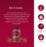 Multivitamin Gummies Adult Strawberry Flavour - Vegan Gummy Bears Dietary Supplement - Vitamin A, C, D, B12 and Zinc - Supports The Immune System - Vegan & Without Gelatine - 60 Gummies - Image 4