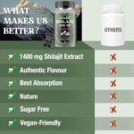 Shilajit Gummies 1400mg, Pure Himalayan Shilajit with Chaga and Ashwagandha, 85+ Trace Minerals, Rich in Fulvic Acid, for Energy & Immune, Sugar-Free, Vegan (60 Count (Pack of 1)) - Image 4