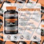 RIPPD Ashwagandha 500mg 60 Capsules | High Strength 20:1 Extract Equivalent to 10,000mg Root | Vegan Adaptogen Supplement for Stress, Sleep & Immunity Support - Image 6