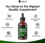 Liquid Chlorophyll - Chlorophyll Drops for Water 100ml for 100 Servings - High Strength 100mg Chlorophyll Liquid Drink - Made in UK by New Leaf Products - Image 4