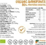 Amino Power Neutral Flavour Protein Shake - Organic Superfoods Powder Blend - Raw sprouted Brown Rice Protein - Green Pea Protein - Pumpkin Seeds Protein (500 g) - Image 3