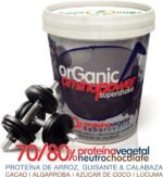 Amino Power Neutral Flavour Protein Shake - Organic Superfoods Powder Blend - Raw sprouted Brown Rice Protein - Green Pea Protein - Pumpkin Seeds Protein (500 g) - Image 5