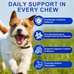 Probiotics for Dogs 150 Chews,Dog Probiotics for Gut Health,Itchy Skin, Yeast Balance and Immune System,Dog Probiotic Supplements Duck flavor - Image 3