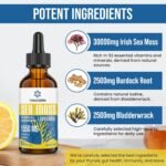 Liposomal Irish Sea Moss Drops 1550MG, with Burdock Root and Bladderwrack Extract, 4X Stronger Than Pills & Gel, Gut & Immune Balance, 60ml (Pack of 1) - Image 3