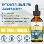 Liposomal Irish Sea Moss Drops 1550MG, with Burdock Root and Bladderwrack Extract, 4X Stronger Than Pills & Gel, Gut & Immune Balance, 60ml (Pack of 1) - Image 5