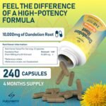 Strong Dandelion Root Capsules 10,000mg | 240 Vegan Capsules | High Strength for Bloating & Water Retention | Fluid Balance with High Absorption | Liver Detox | FuelFinity® | Vegan - Image 3