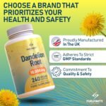 Strong Dandelion Root Capsules 10,000mg | 240 Vegan Capsules | High Strength for Bloating & Water Retention | Fluid Balance with High Absorption | Liver Detox | FuelFinity® | Vegan - Image 7