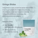 Life Essentials Ginkgo Biloba Capsules 250mg - 120 Supplements with Ginko Biloba Extract 24% Flavonoids & 6% Lactones for Brain Function & Memory Support, Ginko Biloba High Strength - Image 3