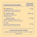 Jelly Pills Multivitamin and Mineral Gummies for Kids - 70 Vegan Gummies - No Added Sugars - Strawberry Flavor - A, B, C, D, E, Zinc, Biotin & Folic Acid - Image 4