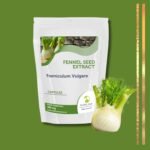 Fennel Seed Extract 480mg Foeniculum Vulgare x90 Capsules HEALTHY MOOD - Image 4