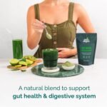 Green Origins Gut Greens Blend for Gut Health | High Plant-Base Fibre from Chicory Root Inulin, Spirulina, Wheatgrass Powder | 10 Servings, 100g | No Additives | Vegan & Kosher - Image 3